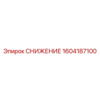 1604187100 СНИЖЕНИЕ Epiroc