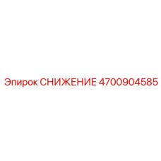 4700904585 СНИЖЕНИЕ Epiroc