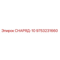 9753231660 СНАРЯД-10 Epiroc