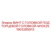 1903285913 ВИНТ С ГОЛОВКОЙ ПОД ТОРЦЕВОЙ ГОЛОВКОЙ-M10X25 Epiroc