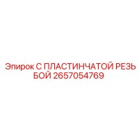 2657054769 С ПЛАСТИНЧАТОЙ РЕЗЬБОЙ Epiroc