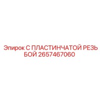 2657467060 С ПЛАСТИНЧАТОЙ РЕЗЬБОЙ - Epiroc
