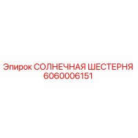 6060006151 СОЛНЕЧНАЯ ШЕСТЕРНЯ Epiroc