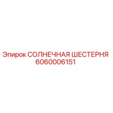 6060006151 СОЛНЕЧНАЯ ШЕСТЕРНЯ Epiroc