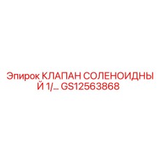 GS12563868 КЛАПАН СОЛЕНОИДНЫЙ 1/ Epiroc