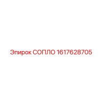 1617628705 СОПЛО Epiroc
