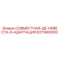 6211669200 СОВМЕСТНАЯ-ДЕ-НЕВЕСТА-D-АДАПТАЦИЯ Epiroc