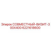 6221618600 СОВМЕСТНЫЙ-ВИЗИТ-300X400 Эпирок