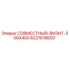 Деталь 6221618600 СОВМЕСТНЫЙ-ВИЗИТ-300X400 производства Epiroc