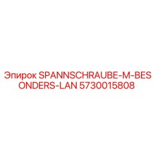 5730015808 SPANNSCHRAUBE-M-BESONDERS-LAN Epiroc