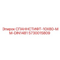 5730015809 СПАННСТИФТ-10X80-ММ-DIN1481 Epiroc