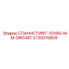 5730015809 СПАННСТИФТ-10X80-ММ-DIN1481 Epiroc