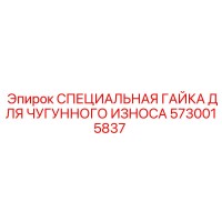 5730015837 СПЕЦИАЛЬНАЯ ГАЙКА ДЛЯ ЧУГУННОГО ИЗНОСА Epiroc