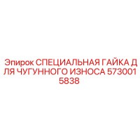 5730015838 СПЕЦИАЛЬНАЯ ГАЙКА ДЛЯ ЧУГУННОГО ИЗНОСА Epiroc
