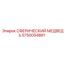 5750054881 СФЕРИЧЕСКИЙ МЕДВЕДЬ Epiroc