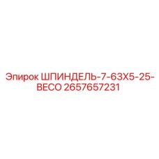2657657231 ШПИНДЕЛЬ-7-63X5-25-BECO Epiroc