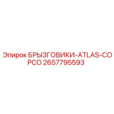 2657795593 БРЫЗГОВИКИ-ATLAS-COPCO Epiroc