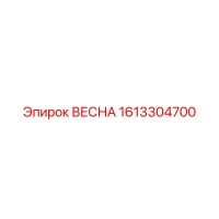 1613304700 ВЕСНА Epiroc