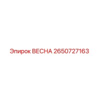 2650727163 Spring Epiroc