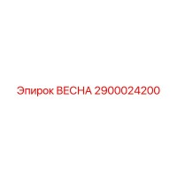 2900024200 ВЕСНА Epiroc