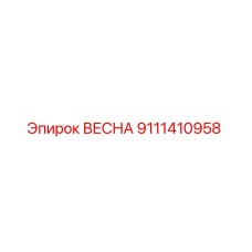 9111410958 ВЕСНА Epiroc
