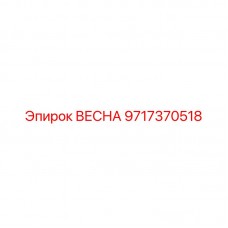 Пружина клапанная 9717370518 Epiroc