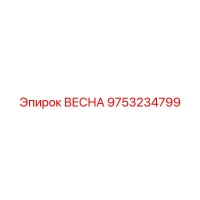 9753234799 ВЕСНА Epiroc