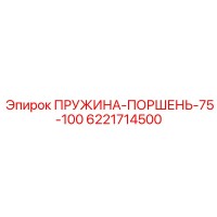 6221714500 ПРУЖИНА-ПОРШЕНЬ-75-100 Epiroc