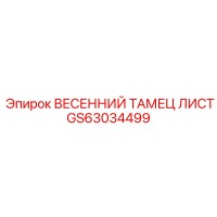 GS63034499 ВЕСЕННИЙ ТАМЕЦ ЛИСТ Epiroc
