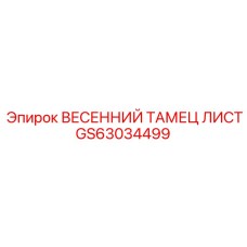 GS63034499 ВЕСЕННИЙ ТАМЕЦ ЛИСТ Epiroc