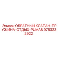 9753232922 ОБРАТНЫЙ КЛАПАН-ПРУЖИНА-ОТДЫХ-PUMA8 Epiroc