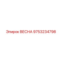 9753234798 ВЕСНА Epiroc