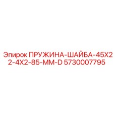 5730007795 ПРУЖИНА-ШАЙБА-45X22-4X2-85-MM-D Epiroc