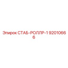 92010666 СТАБ-РОЛЛР-1 Epiroc
