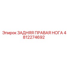 4812274692 ЗАДНЯЯ ПРАВАЯ НОГА Epiroc