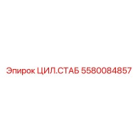 5580084857 ЦИЛ.СТАБ Epiroc