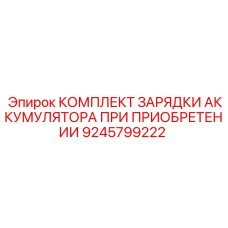 9245799222 КОМПЛЕКТ ЗАРЯДКИ АККУМУЛЯТОРА ПРИ ПРИОБРЕТЕНИИ Epiroc