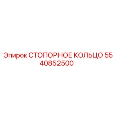 5540852500 СТОПОРНОЕ КОЛЬЦО Эпирок