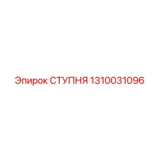 1310031096 СТУПНЯ Epiroc