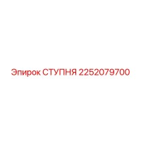 2252079700 СТУПНЯ Epiroc