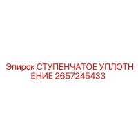 2657245433 СТУПЕНЧАТОЕ УПЛОТНЕНИЕ Epiroc