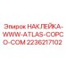 2236217102 НАКЛЕЙКА-WWW-ATLAS-COPCO-COM Epiroc