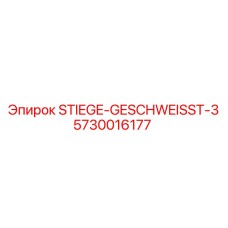 5730016177 STIEGE-GESCHWEISST-3 Epiroc