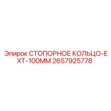 2657925778 СТОПОРНОЕ КОЛЬЦО-EXT-100MM Epiroc
