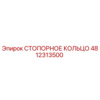 4812313500 СТОПОРНОЕ КОЛЬЦО (Epiroc)