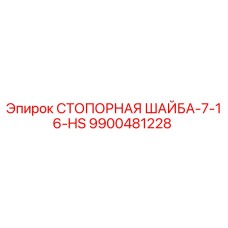 9900481228 СТОПОРНАЯ ШАЙБА-7-16-HS Epiroc