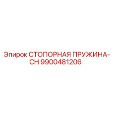 9900481206 СТОПОРНАЯ ПРУЖИНА-CH Epiroc
