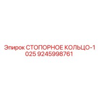 9245998761 СТОПОРНОЕ КОЛЬЦО-1025 Epiroc