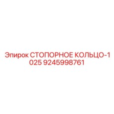 9245998761 СТОПОРНОЕ КОЛЬЦО-1025 Epiroc