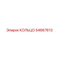 54667613 КОЛЬЦО Epiroc